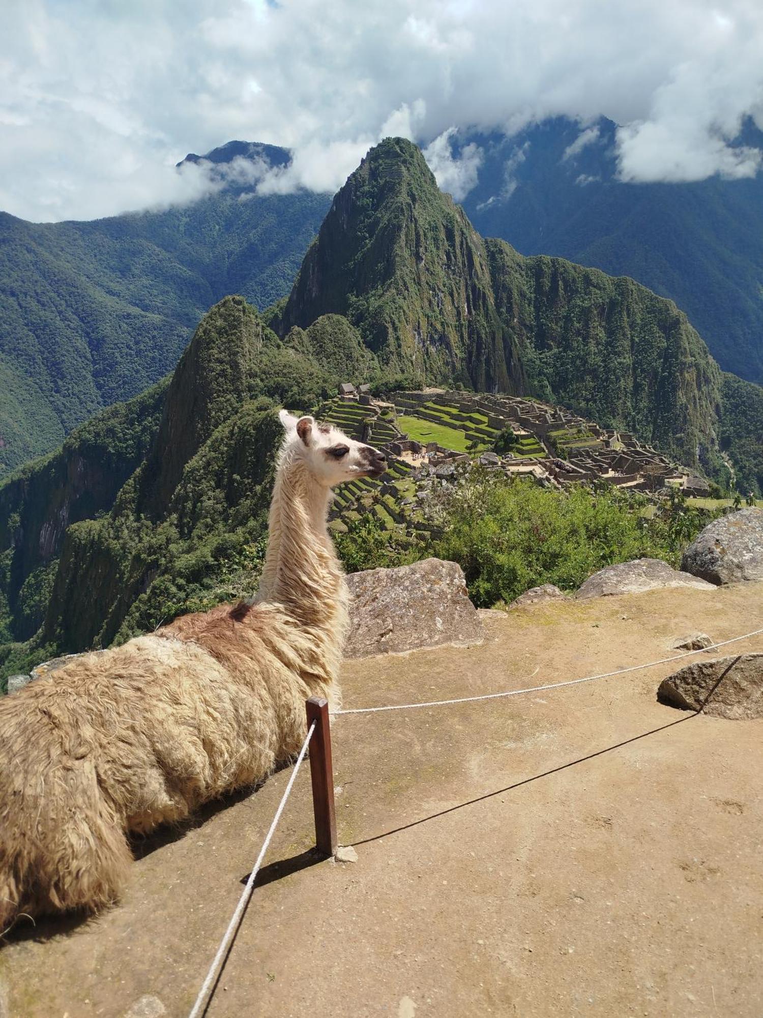Picos House Machupicchu Hotel Exterior foto